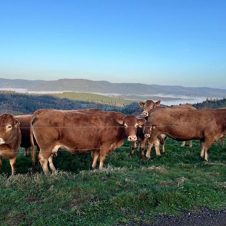 Gite De Montagne -Bellefosse Alsace المظهر الخارجي الصورة