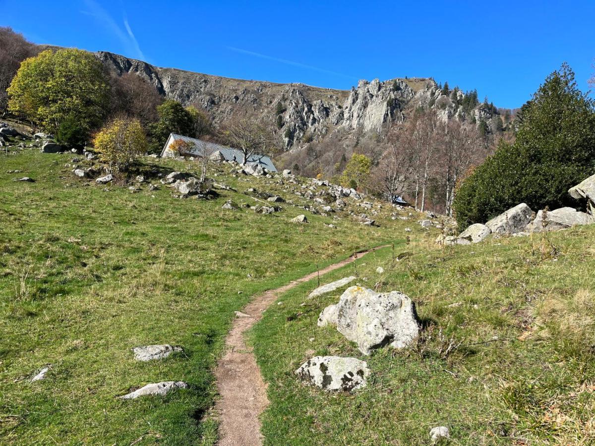 Gite De Montagne -Bellefosse Alsace المظهر الخارجي الصورة