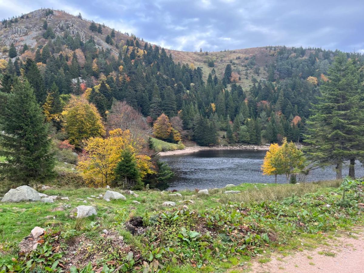 Gite De Montagne -Bellefosse Alsace المظهر الخارجي الصورة