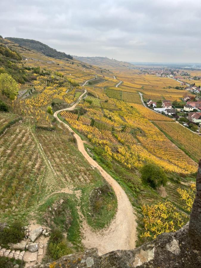 Gite De Montagne -Bellefosse Alsace المظهر الخارجي الصورة
