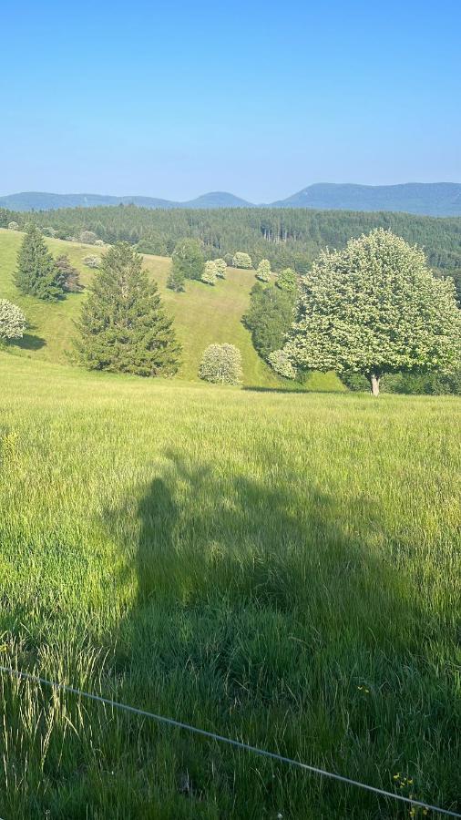 Gite De Montagne -Bellefosse Alsace المظهر الخارجي الصورة
