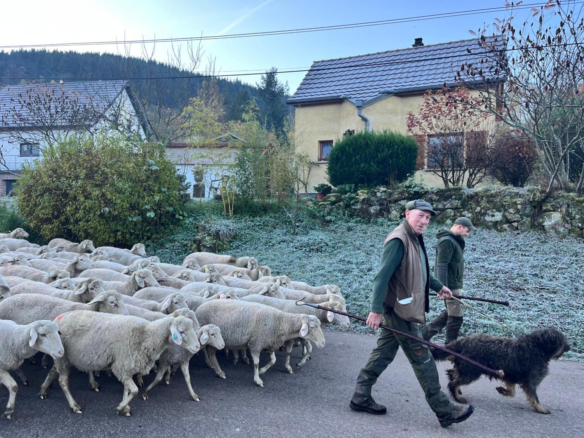 Gite De Montagne -Bellefosse Alsace المظهر الخارجي الصورة